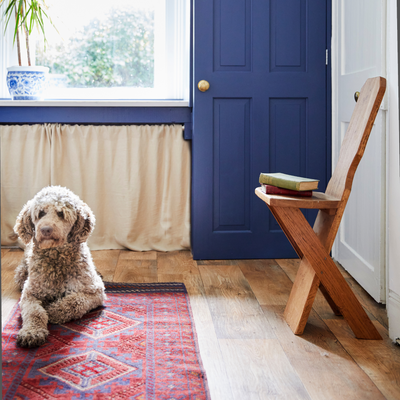 How to lift pet hair off a carpet – why your Scrub Daddy isn’t just for doing the dishes