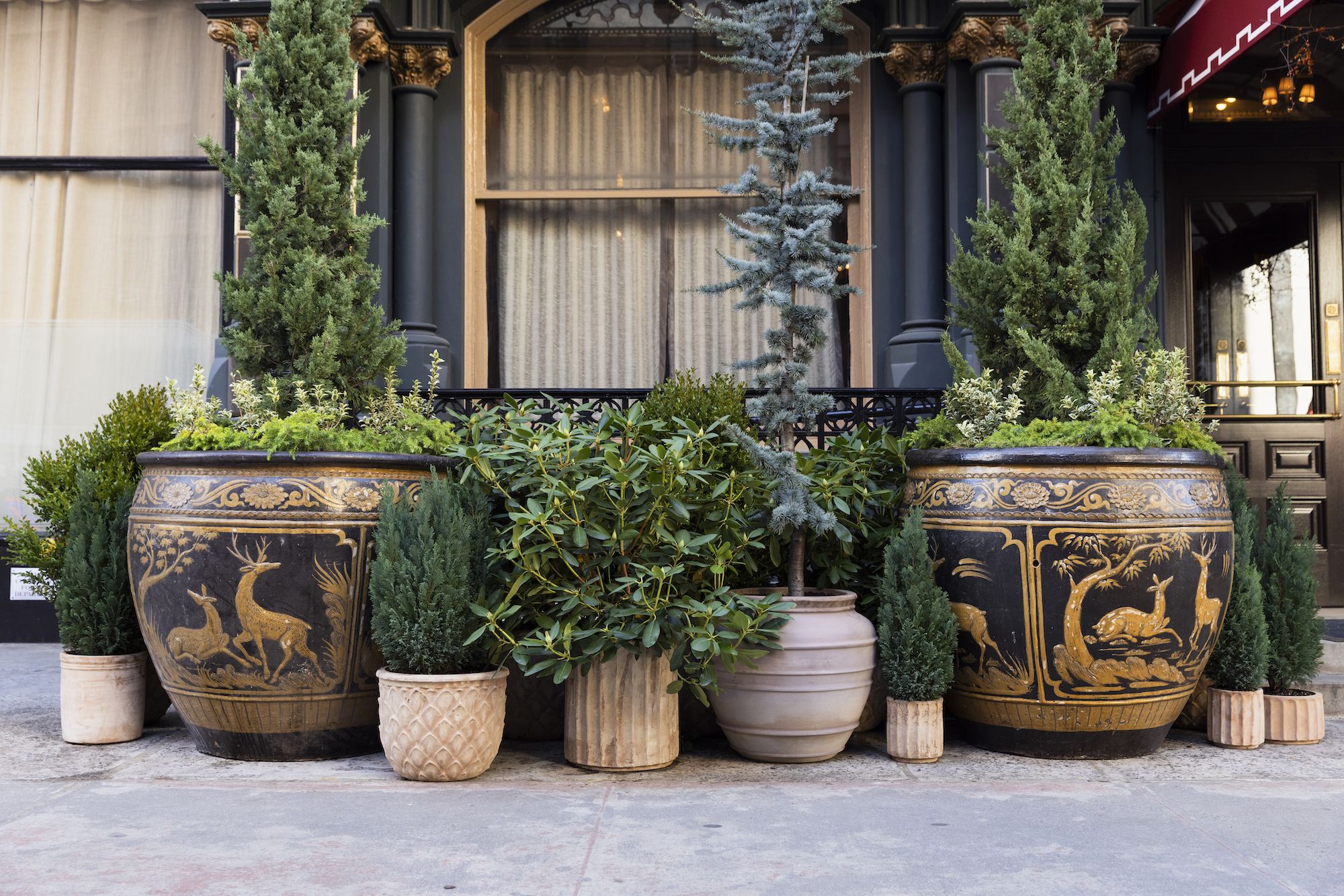 The End of Potted Eyesores — How to Keep Your Patio…