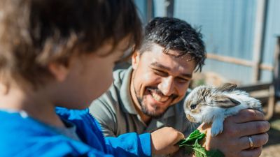 These are the 5 best types of bunnies for pets