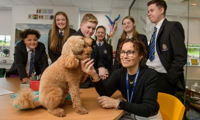 Schools in England and Wales use dogs and prize draws to lure absent pupils back