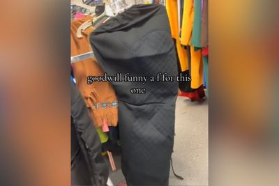 Ohio Goodwill Mocked for Selling Used Car Seat Cover as Halloween Costume: 'And Put a $25 Price Tag on It'