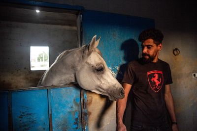 Traumatised horses saved from Israel’s bombs find refuge in Bekaa Valley