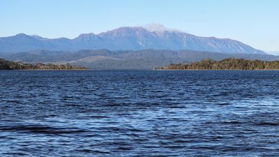 Canberra lashed for 'kicking the can' on salmon farms