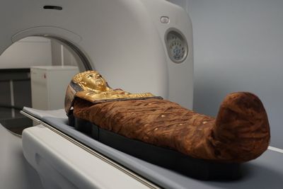 X-ray scans answer 3,000-year-old mystery of Egyptian ‘locked mummy’