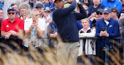 Nick Rodger:  Will Tiger and Rory's indoor league capture golfing hearts and minds?