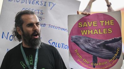 Big guns descend on Cali for final push in UN biodiversity talks