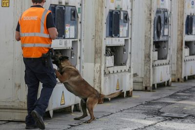 Dozens Jailed In Belgium Drug Smuggling Mega-trial