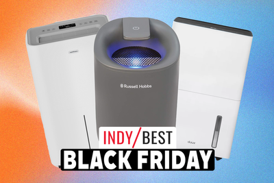 Best Black Friday dehumidifier deals for 2024