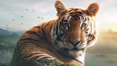 Asia: release date, episodes, trailer and everything we know about the new wildlife series