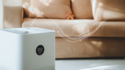 How well do air purifiers work?