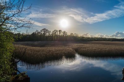 Just 7% of England’s land protected for nature, Government assessment shows