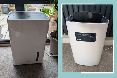 Best dehumidifiers for tackling damp at home, tried and tested