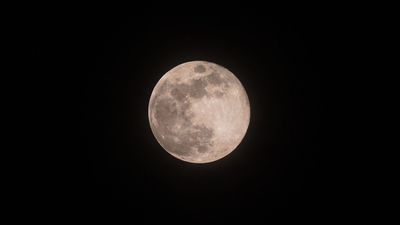 November full moon 2025: The Beaver supermoon will be the biggest and brightest of the year