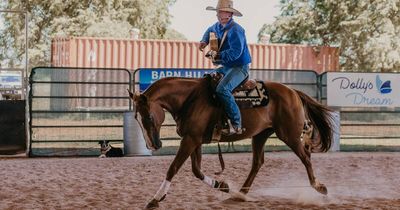 Taking 10 horses, 10 dogs, a herd of goats - and your family - on tour