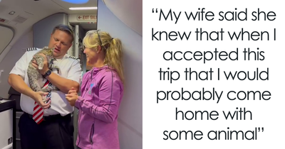 Airlines Help Evacuate Shelter Animals, Pilot Falls In Love With A Kitty And Decides To Adopt Her