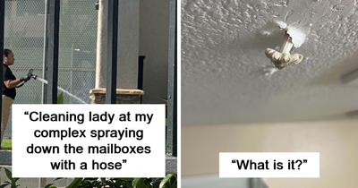 47 People Share Their Unfortunate Experiences Of Living In Apartments