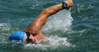 Happy swimmers dive right into Toronto Baths after major upgrade