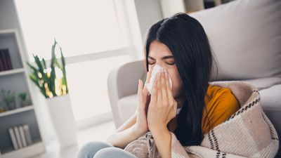 Do air purifiers help with allergies?