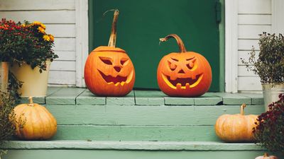 3 pests that your Halloween pumpkins can attract to your home