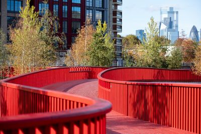 Canada Water developers reveal dramatic walkway across Docklands wildlife sanctuary