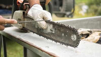 How to sharpen a chainsaw: step by step for getting your tool back to its best