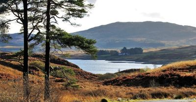 Community 'divided' over plans for Scotland’s newest national park, MSPs told