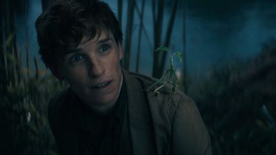 Eddie Redmayne's latest Fantastic Beasts update suggests the Harry Potter spin-off is officially dead