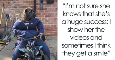 Hilarious Videos Of Mist The Cane Corso Dressed As Human Go Viral, Earn Her Over 1K A Month