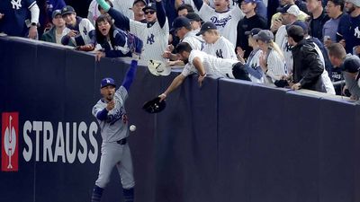 There Has Been Some Bizarre Coverage of Overly Aggressive Yankees Fans