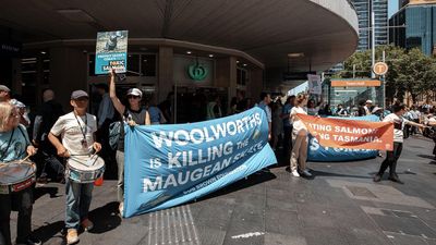 Fish furore: Woolies refuses to phase out farmed salmon