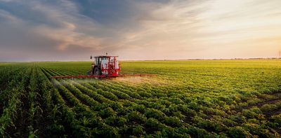 We study how plants ‘feed’ themselves to find more sustainable ways to feed the planet