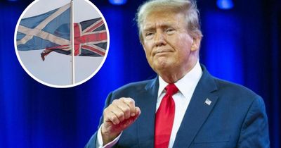 Donald Trump intervenes in Scottish independence debate with bizarre rant