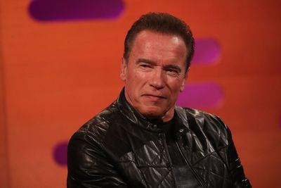 Arnold Schwarzenegger backs Kamala Harris saying Donald Trump would 'divide and insult'