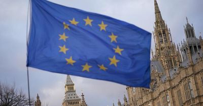 Brexit continues to have 'devastating' effect on UK economy, OBR warn