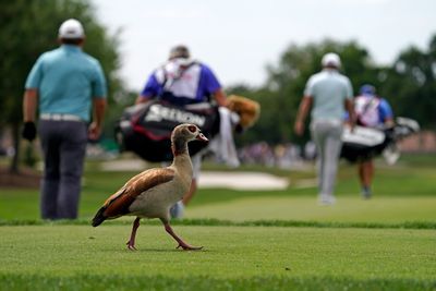 How big will the fines be for PGA Tour’s ‘excessive average stroke time’ violators?