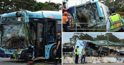 Distracted, reduced vision: transport watchdog's Belmont bus crash investigation