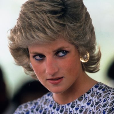 Princess Diana's Former Bodyguard Shares What Really Happened When the Royal Confronted Camilla About Prince Charles Affair