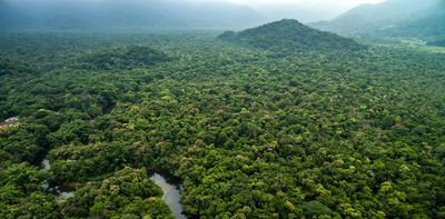 215 million hectares of forest – an area bigger than Mexico – could grow back by itself, if we can just leave it alone