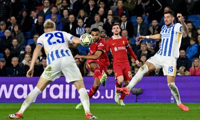 Cody Gakpo double fires Carabao Cup holders Liverpool to victory at Brighton