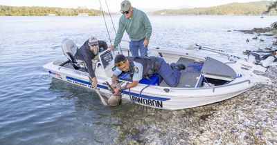 How a policeman rescued a kangaroo from drowning