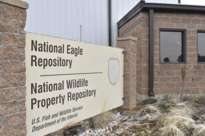 Illegal Wildlife Trafficking Ring On Native American Reservation