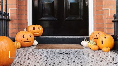 How to use leftover pumpkin in your garden: 3 easy ways to re-use squashes to enrich soil