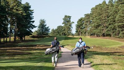 What Is The Difference Between Greensomes And Foursomes?