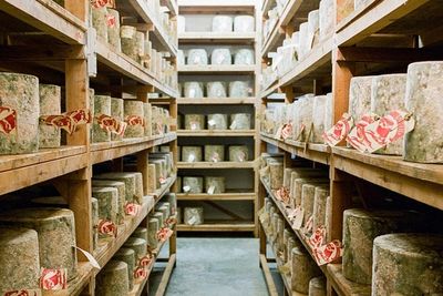 Man arrested after 22 tonnes of cheddar cheese stolen from London dairy