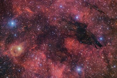 Stunning image captures werewolf nebula in the cosmic sky