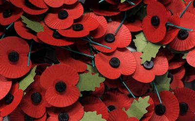 Voices: Is it now acceptable to accessorise with a Remembrance poppy?