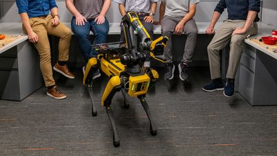 Boston Dynamics' robot dog Spot can now 'play fetch' — thanks to MIT breakthrough