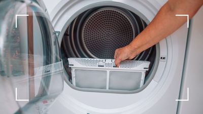 Cleaning expert reveals a crucial step you're missing when using your tumble dryer – and the tool you should be using daily