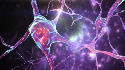 Trigger for deadly neurodegenerative disorder identified