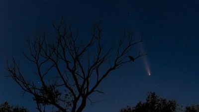 Comets, supermoon, northern lights, oh my! Amazing photos of the celestial Halloween treats of October 2024